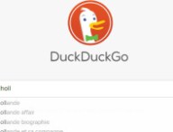 duckduckgo-675.jpg