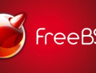 freebsd-675.jpg