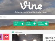 vine-675.jpg