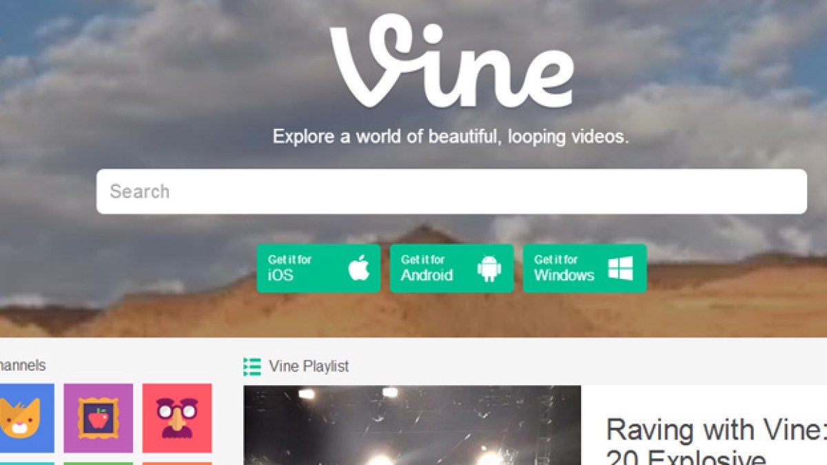 vine-675.jpg vine-675.jpg