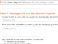Un exemple de formulaire, sur Bing.