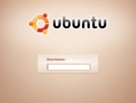 ubuntuloginscreen.jpg