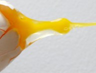oeuf.jpg