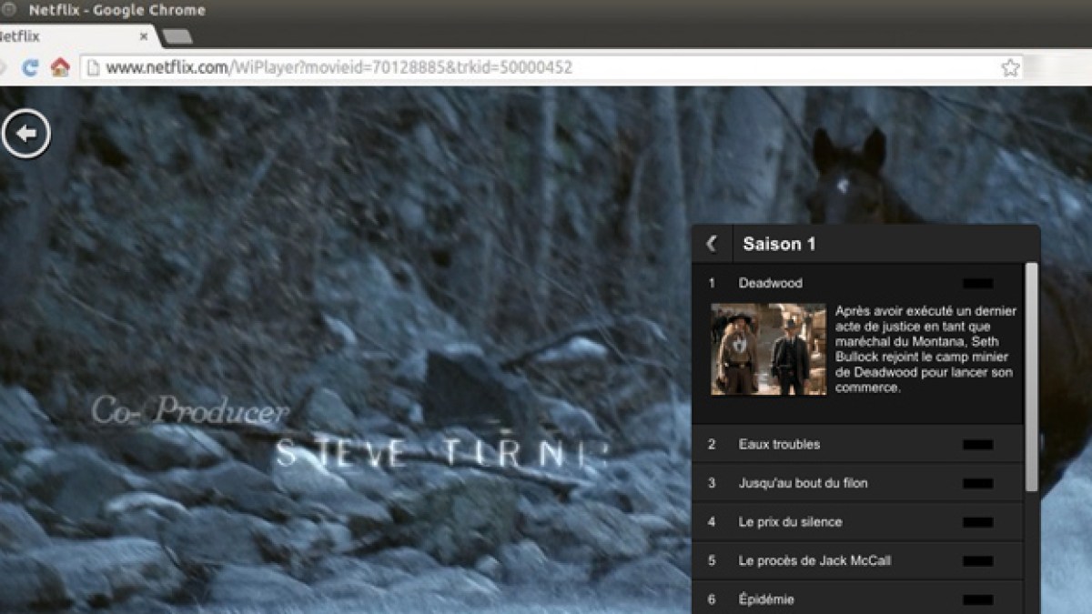 netflixubuntu.jpg netflixubuntu.jpg