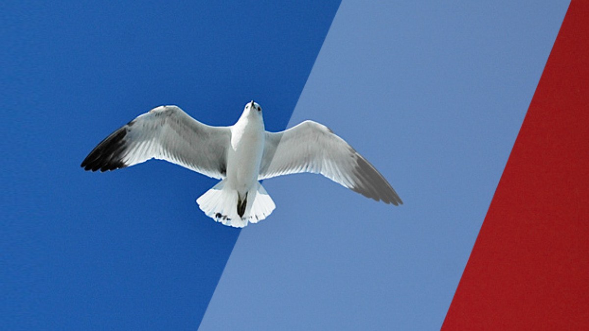 france-liberte.jpg france-liberte.jpg