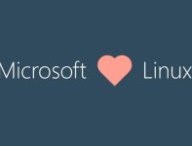 microsoftlinux.jpg