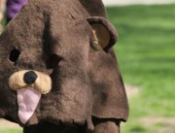 pedobear.jpg
