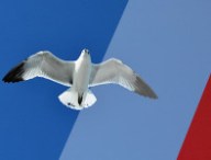 france-liberte.jpg