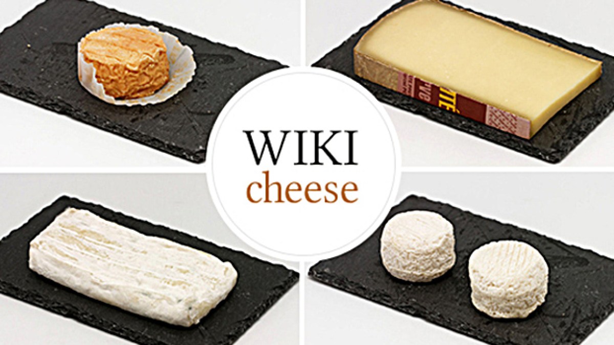 wikicheese.jpg wikicheese.jpg