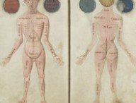 anatomie15e.jpg