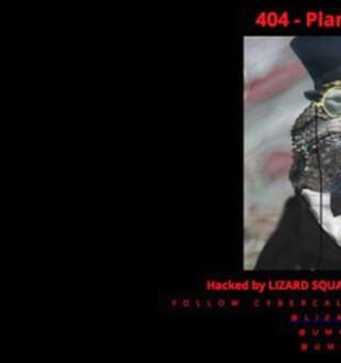 malaysia-lizard.jpg