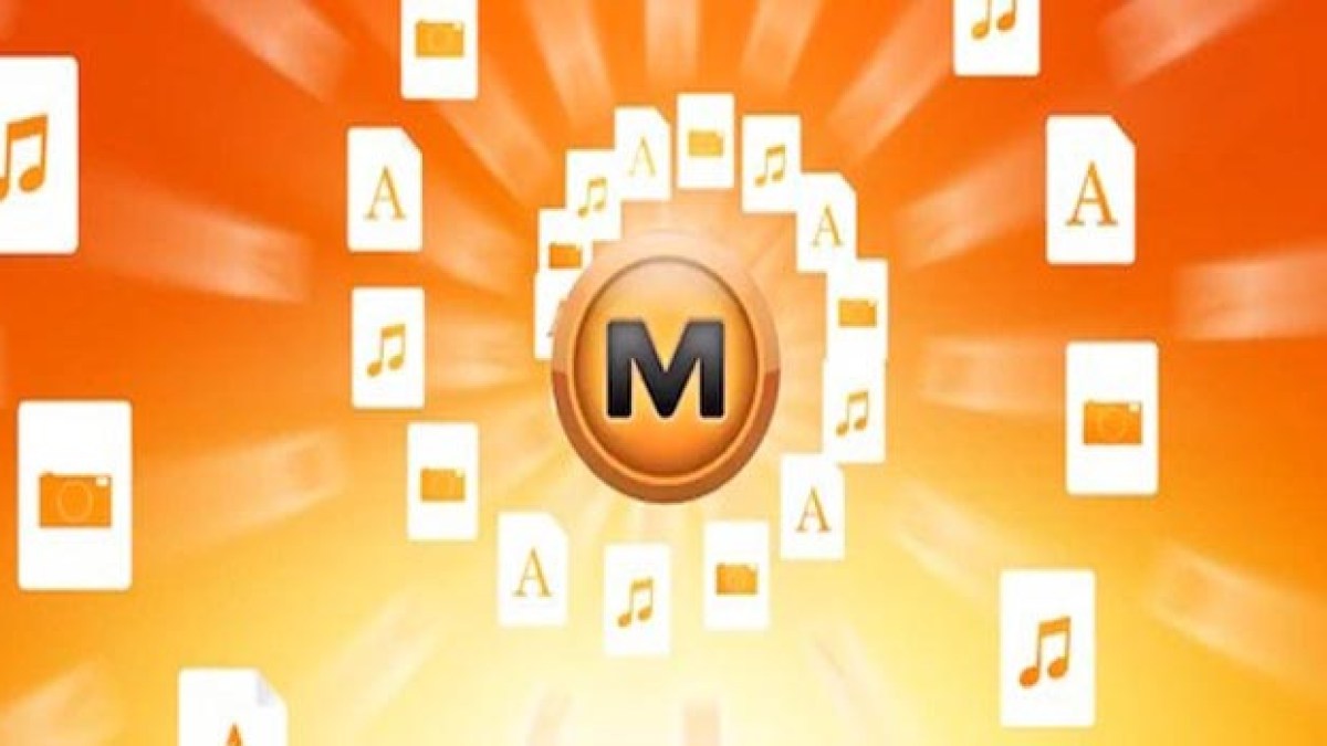 megauploadcercle.jpg megauploadcercle.jpg