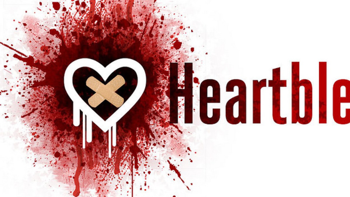 heartbleedb-675.jpg heartbleedb-675.jpg