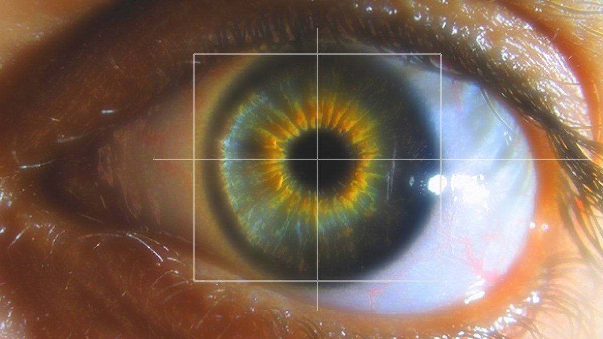 iris-oeil-biometrie.jpg iris-oeil-biometrie.jpg