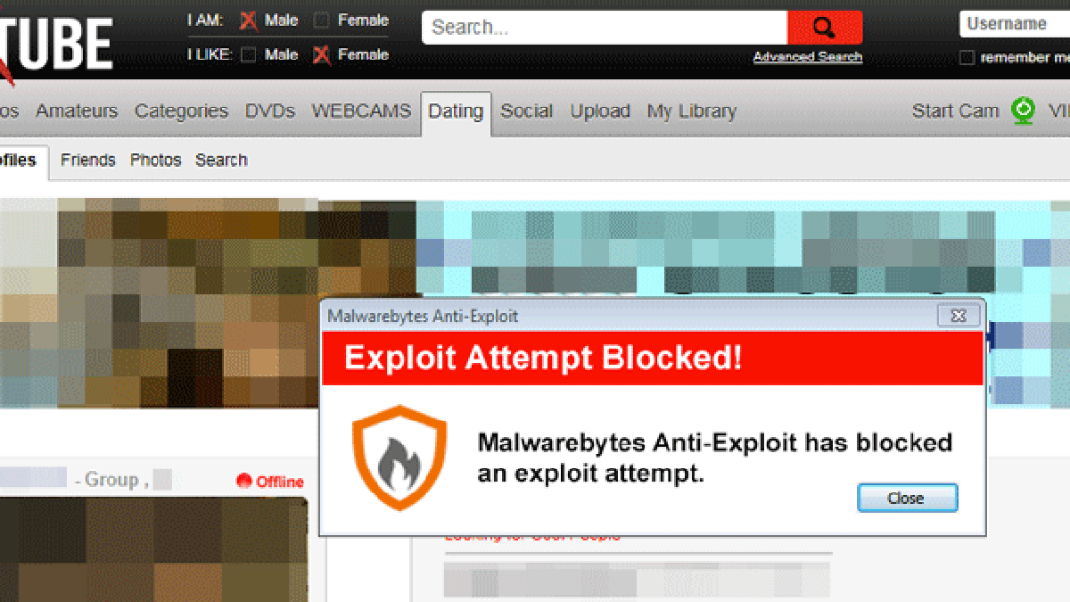malware-xtube.gif