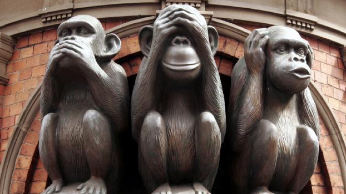 singes-sages.jpg singes-sages.jpg