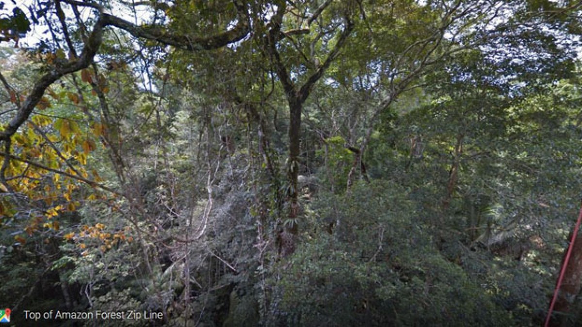 streetviewamazonie.jpg streetviewamazonie.jpg