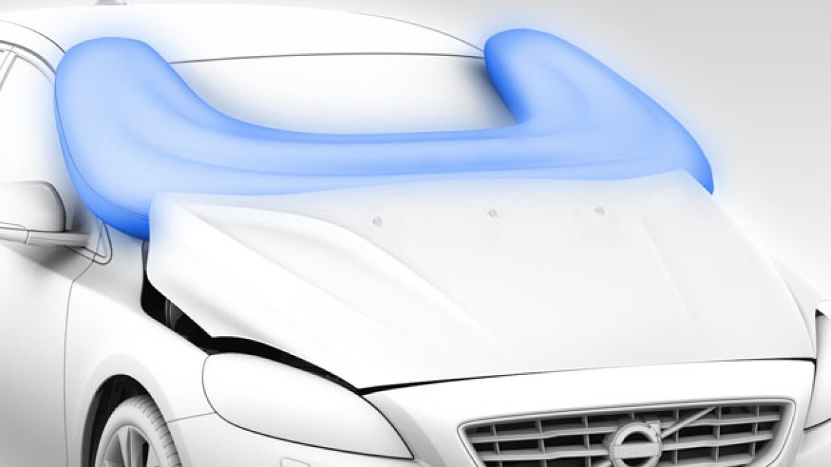 volvov40.jpg volvov40.jpg