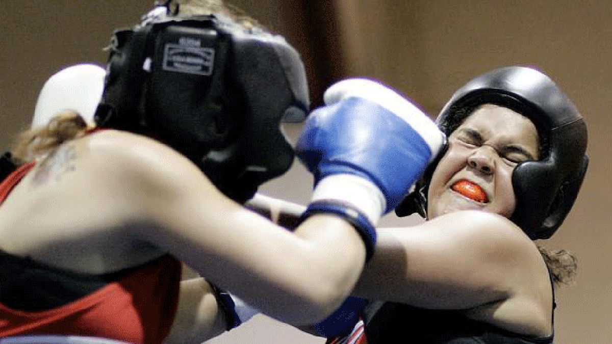 boxe-675.gif boxe-675.gif