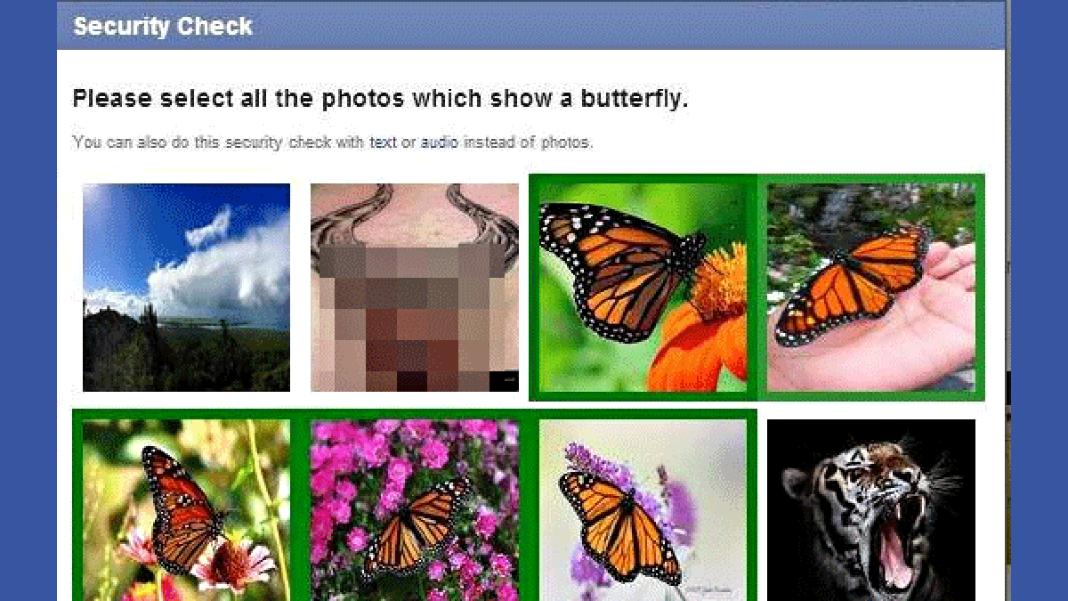 papillon-facebook-675.gif papillon-facebook-675.gif