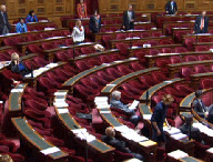 senat-google.gif