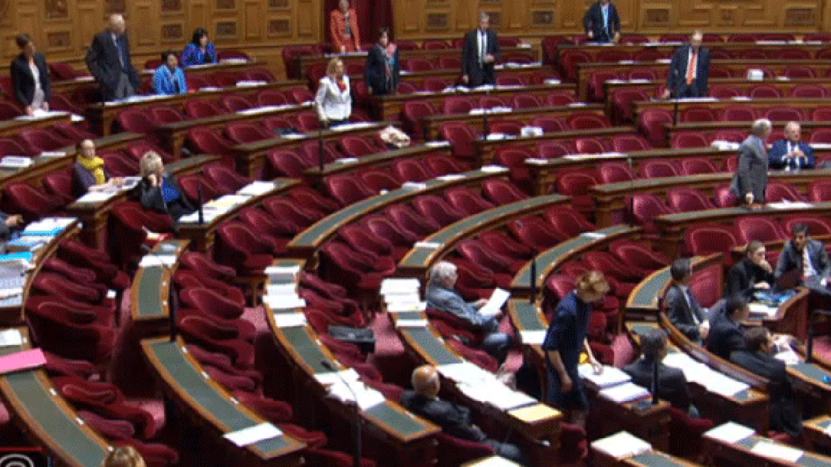 senat-google.gif senat-google.gif