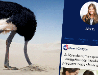 autruche-ump2.gif