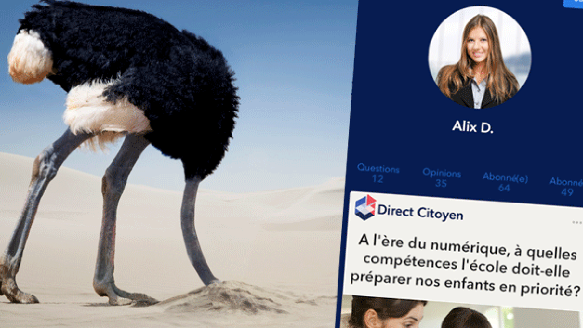 autruche-ump2.gif autruche-ump2.gif