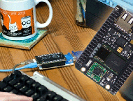 chip-9dollar.gif