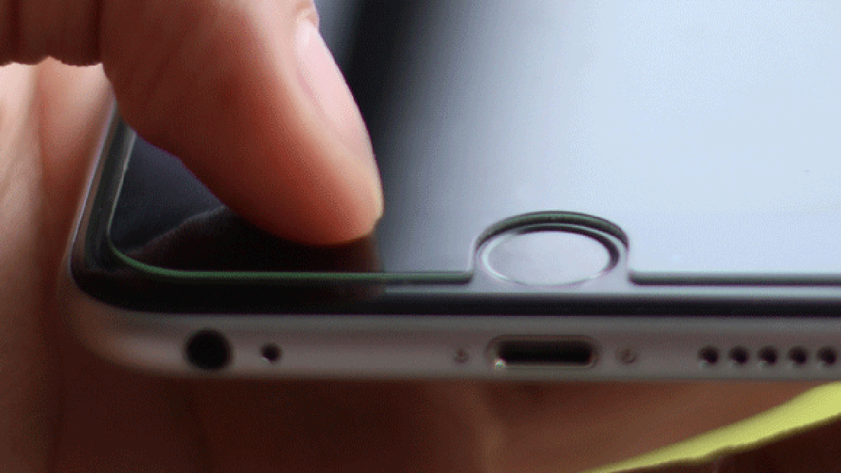 holoback-bouton.gif holoback-bouton.gif