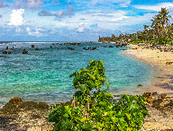nauru-ile.gif