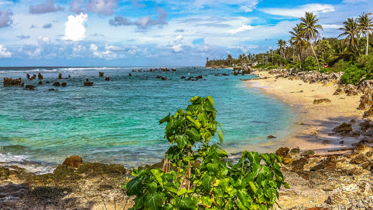 nauru-ile.gif nauru-ile.gif