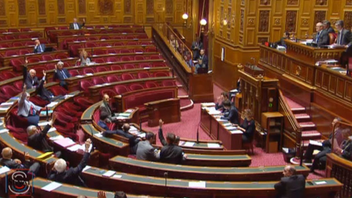 adoption-senat-675.jpg adoption-senat-675.jpg