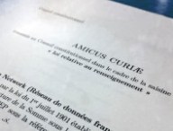amicus-curiae2.jpg