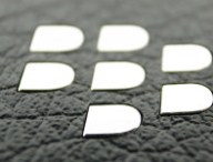 bberrycloseup.jpg