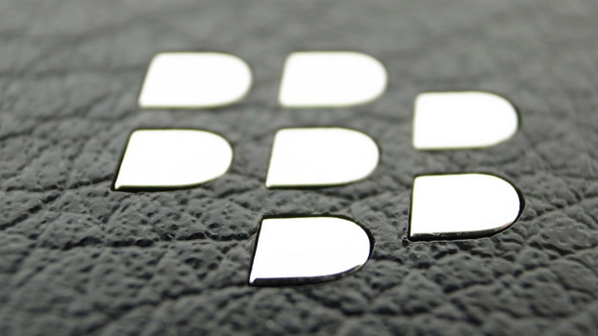 bberrycloseup.jpg bberrycloseup.jpg
