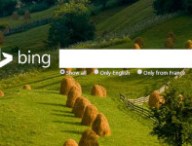 bing-675.jpg