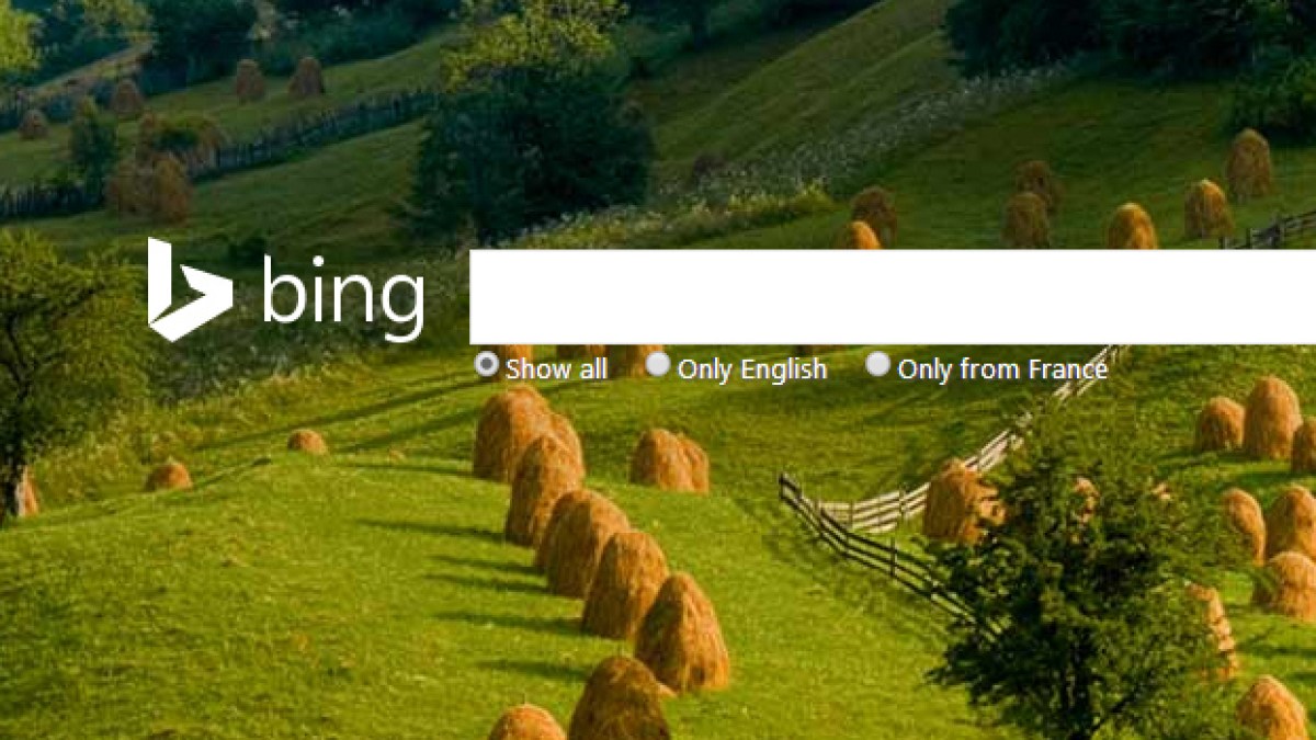 bing-675.jpg bing-675.jpg