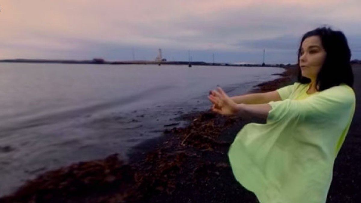 bjork.jpg bjork.jpg