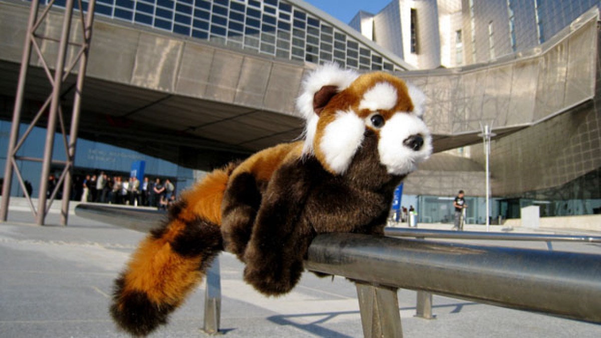 firefoxpeluche.jpg firefoxpeluche.jpg