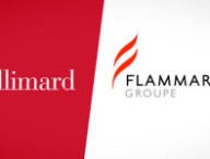 gallimard-flammarion.jpg