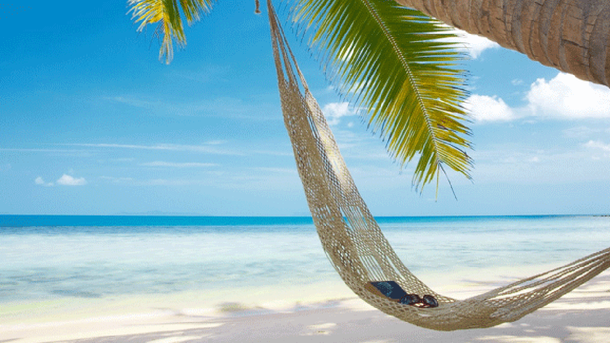 vacances-675.gif vacances-675.gif