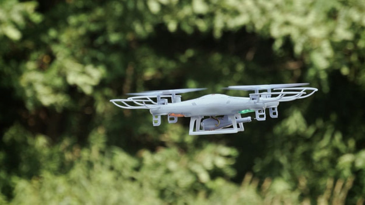dronenature.jpg dronenature.jpg