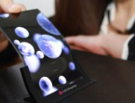 lgdisplayscreenflexible.jpg