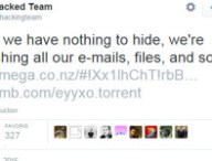 nothingtohide.jpg