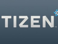 tizengris.jpg