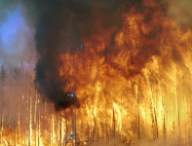 incendieflammes.jpg