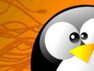 ddos-botnet-linux.jpg