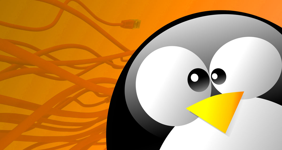 ddos-botnet-linux.jpg ddos-botnet-linux.jpg