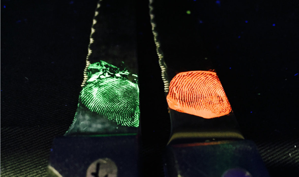 Multi-colour_fingerprints_cropped Multi-colour_fingerprints_cropped